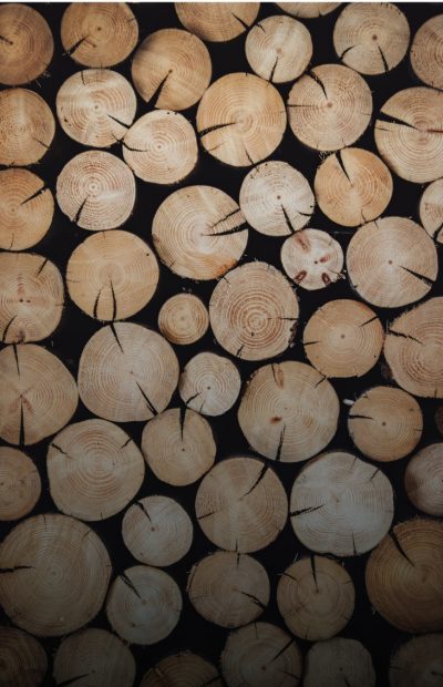 Anwendungsbereich-Trocknung-Holz