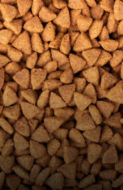 Anwendungsbereich-Trocknung-Petfood