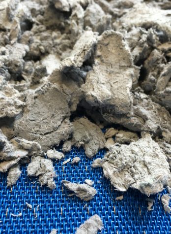 bandtrockner-detail-schlammtrocknung-hans-binder