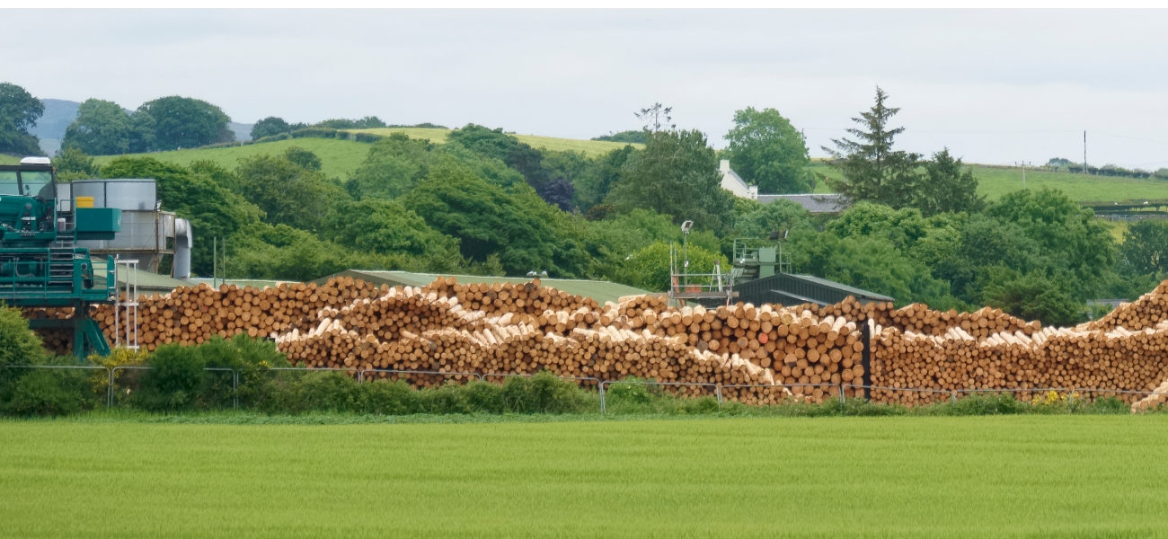 biomasse-trockner-anlage-hans-binder