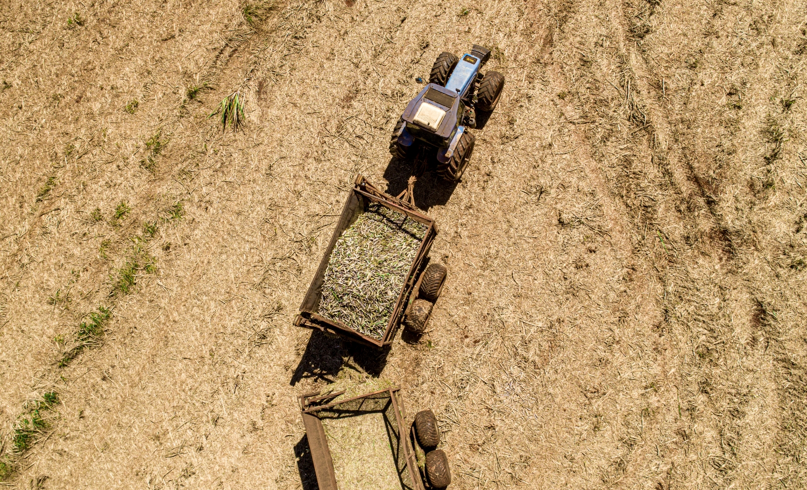 getrocknete-biomasse-brennstoff-landwirtschaft