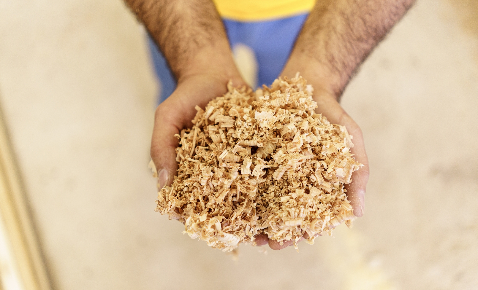 hackschnitzel-biomasse-energie-landwirtschaft